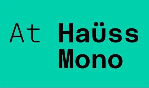 At Hauss Mono Black Font preview
