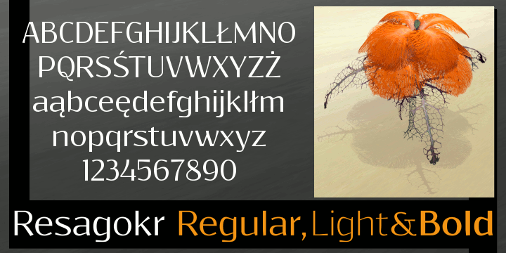 Resagokr Light Font preview
