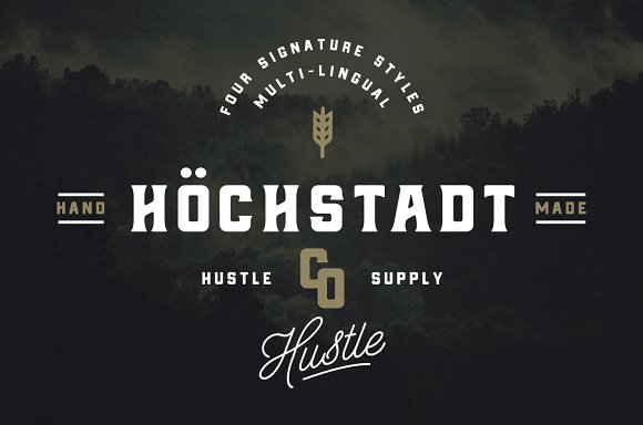 Hochstadt Rounded Oblique Font preview