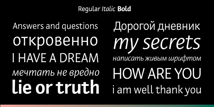 Private Sans Italic Font preview
