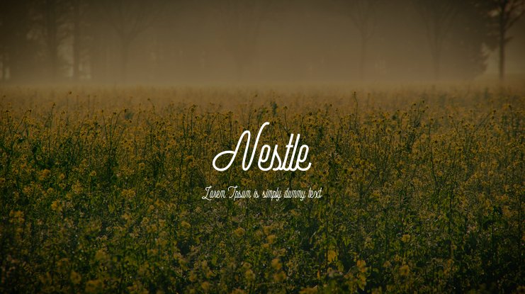 Nestle Script Font preview