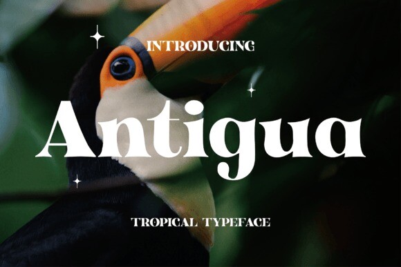 Antigua Font preview