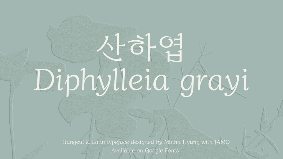 Diphylleia Font preview
