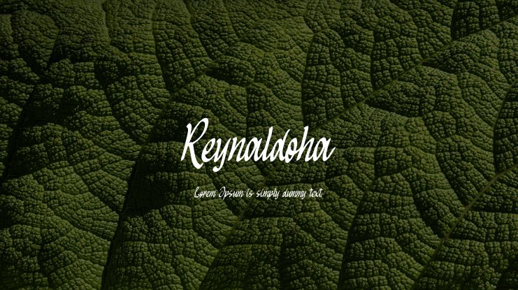 Reynaldo Serif Medium Font preview