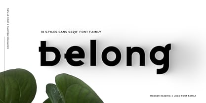Belong Sans Extra Bold Font preview