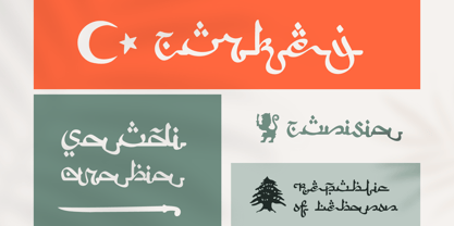 Arabic Script Regular Font preview