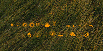 Qarkine Icon Font preview