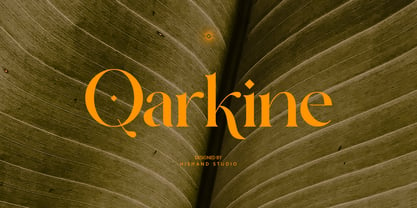 Qarkine Italic Font preview