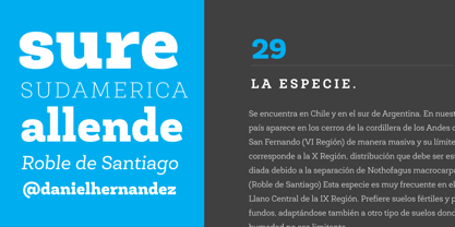 Roble Light Italic Font preview