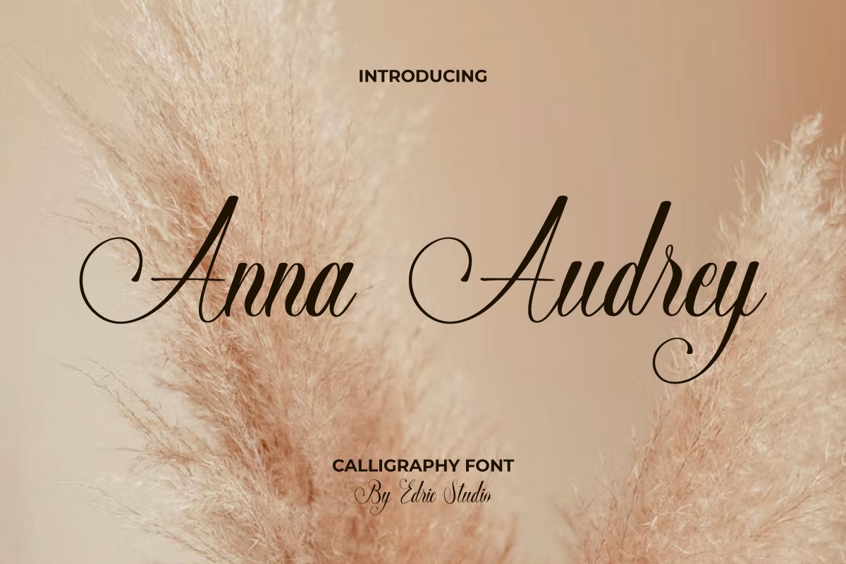 Anna Audrey Regular Font preview