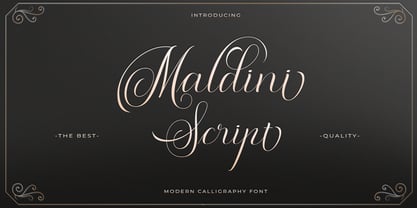 Maldini Script Regular Font preview