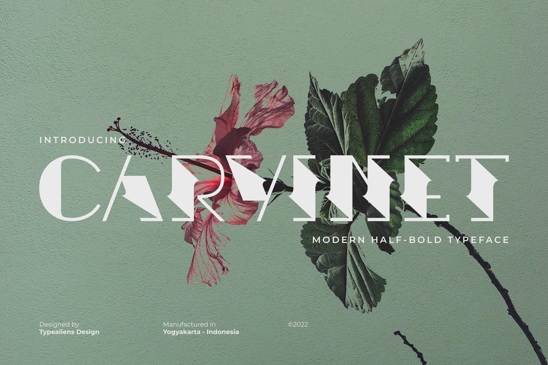 Carvinet Font preview