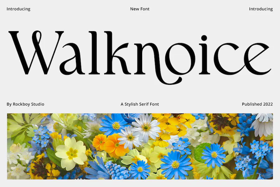 Walknoice Font preview