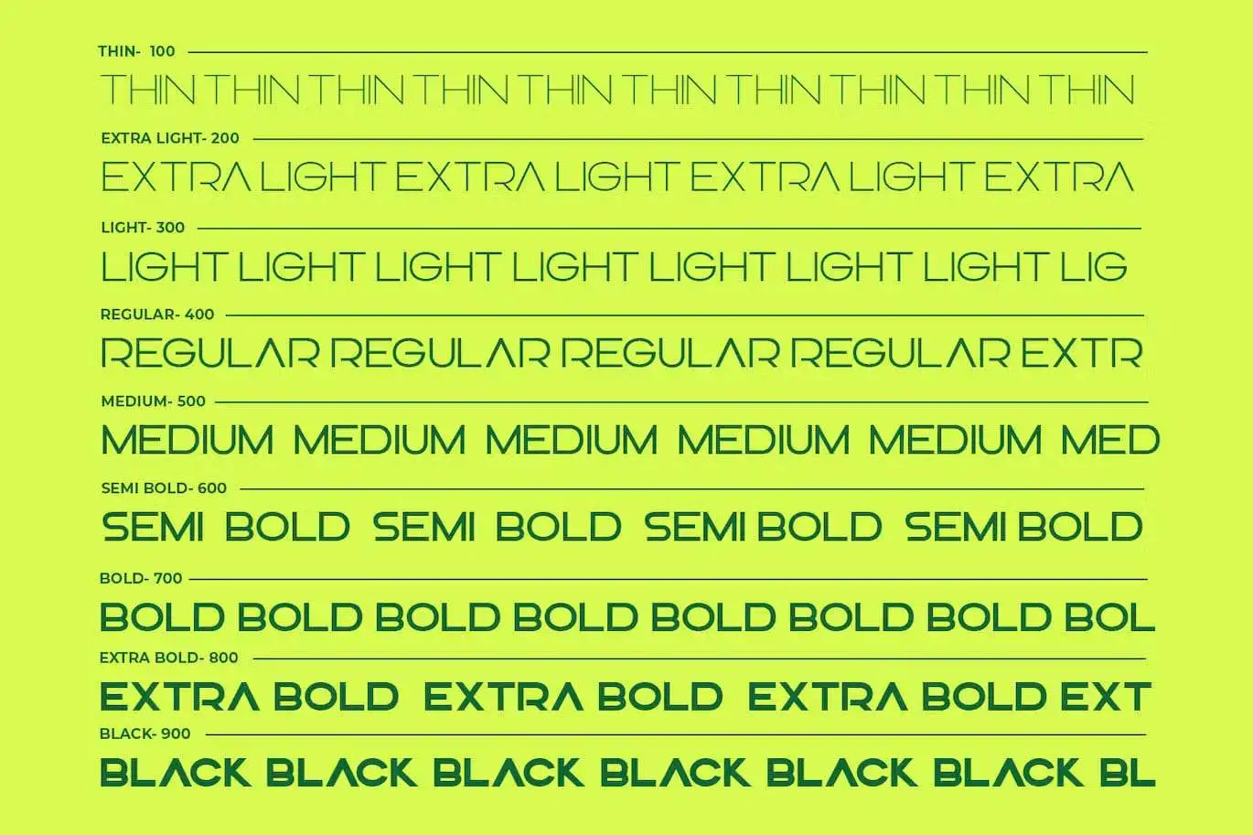 RICORDO ExtraLight Font preview