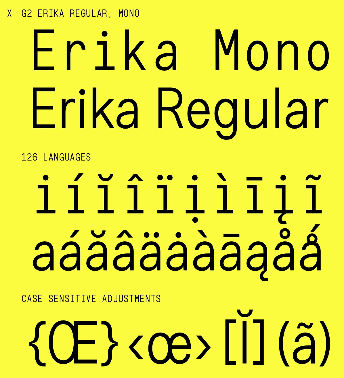 G2 Erika Regular Font preview
