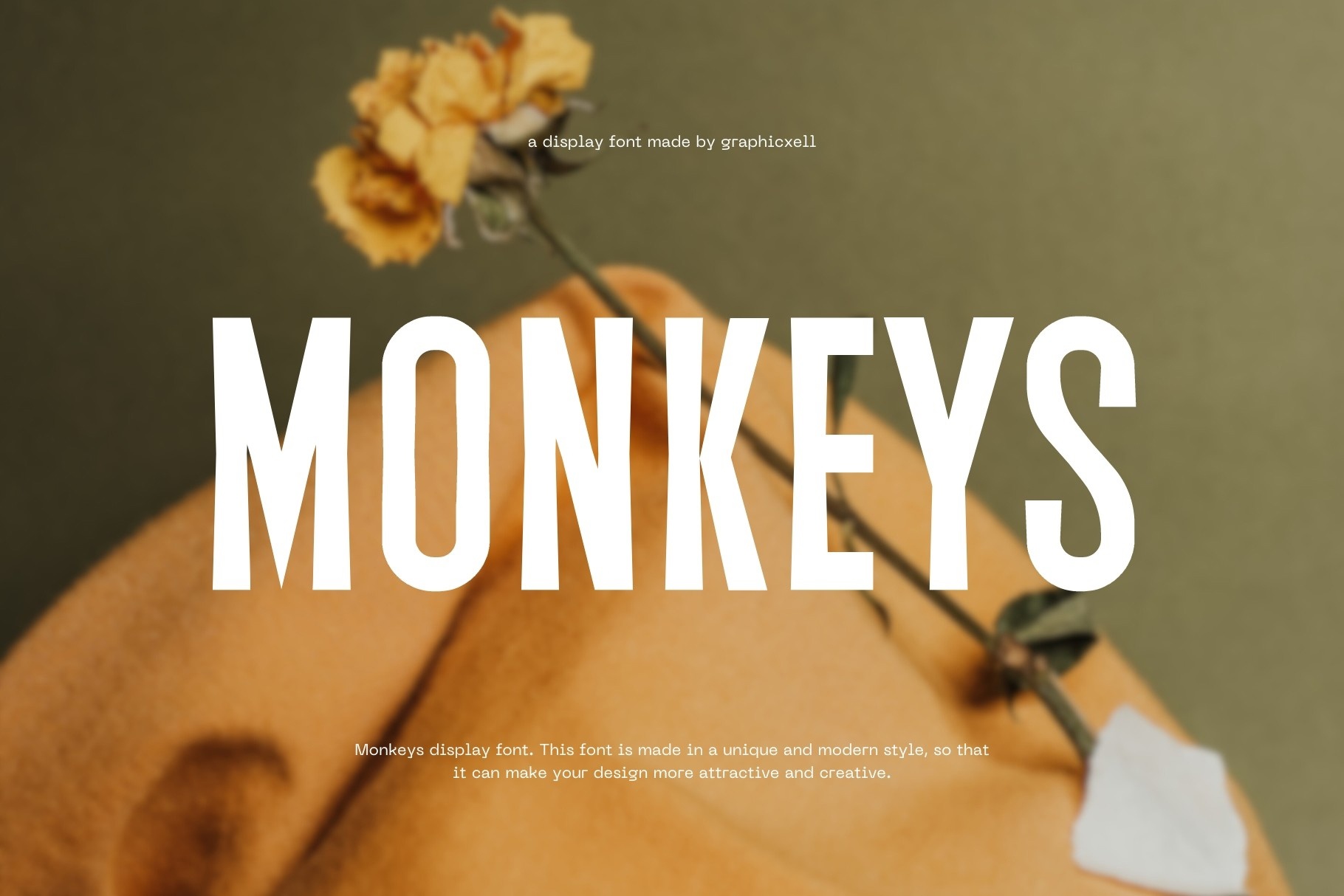 Monkeys Font preview