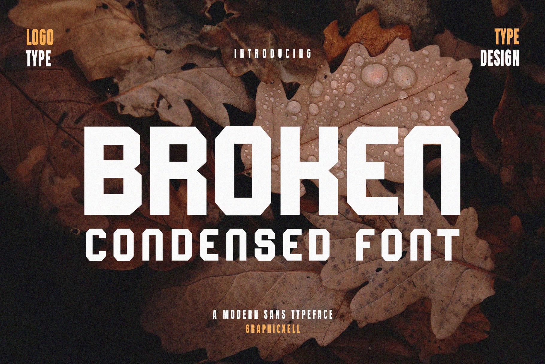 Broken Regular Font preview