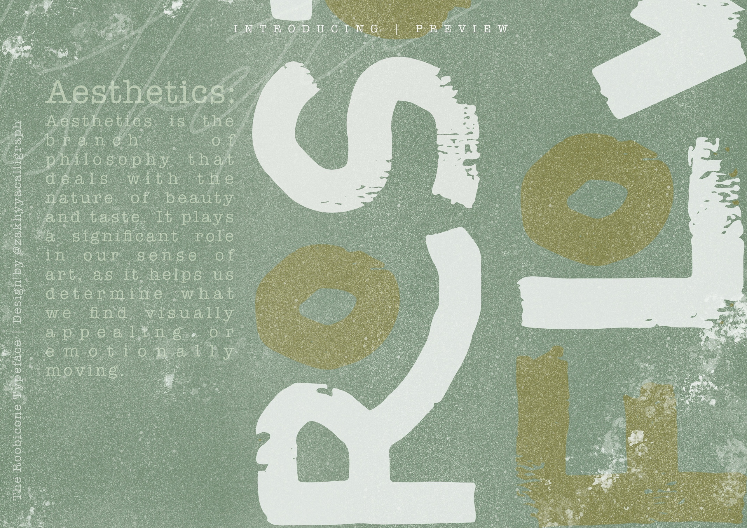 The Rooebicone Regular Font preview