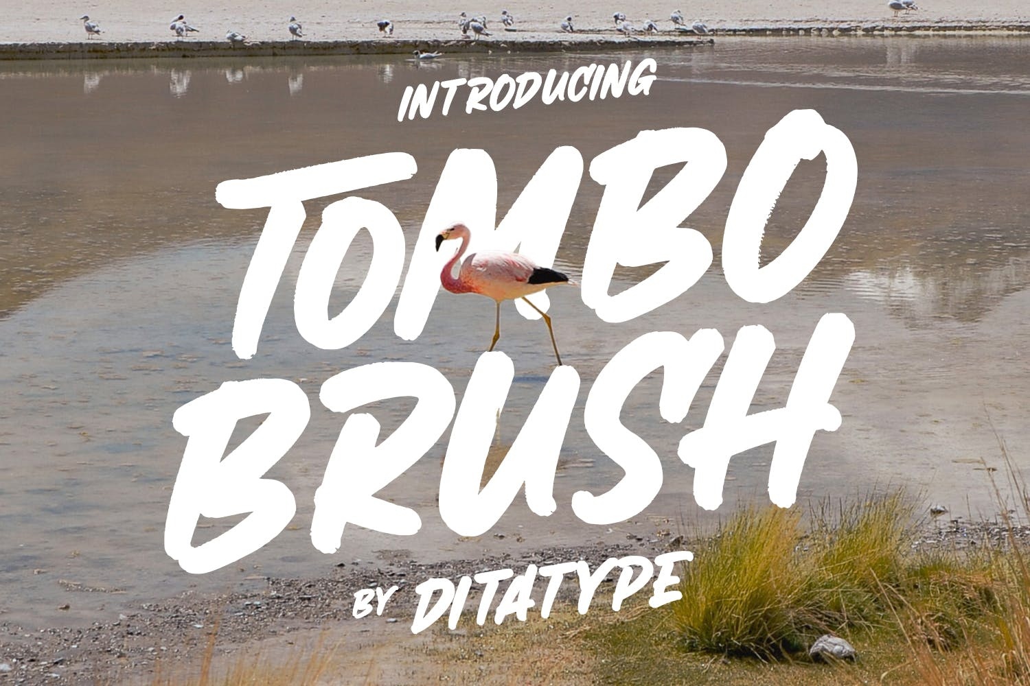 Tombo Brush Font preview