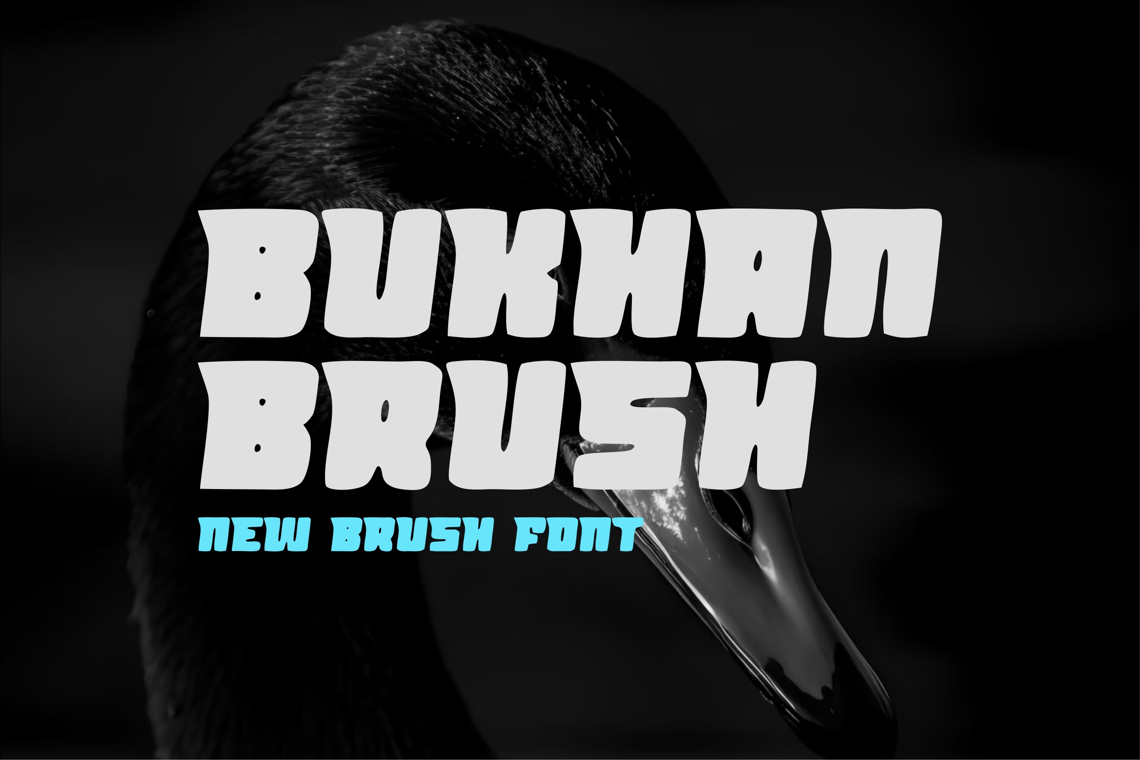 Bukhan Brush Font preview