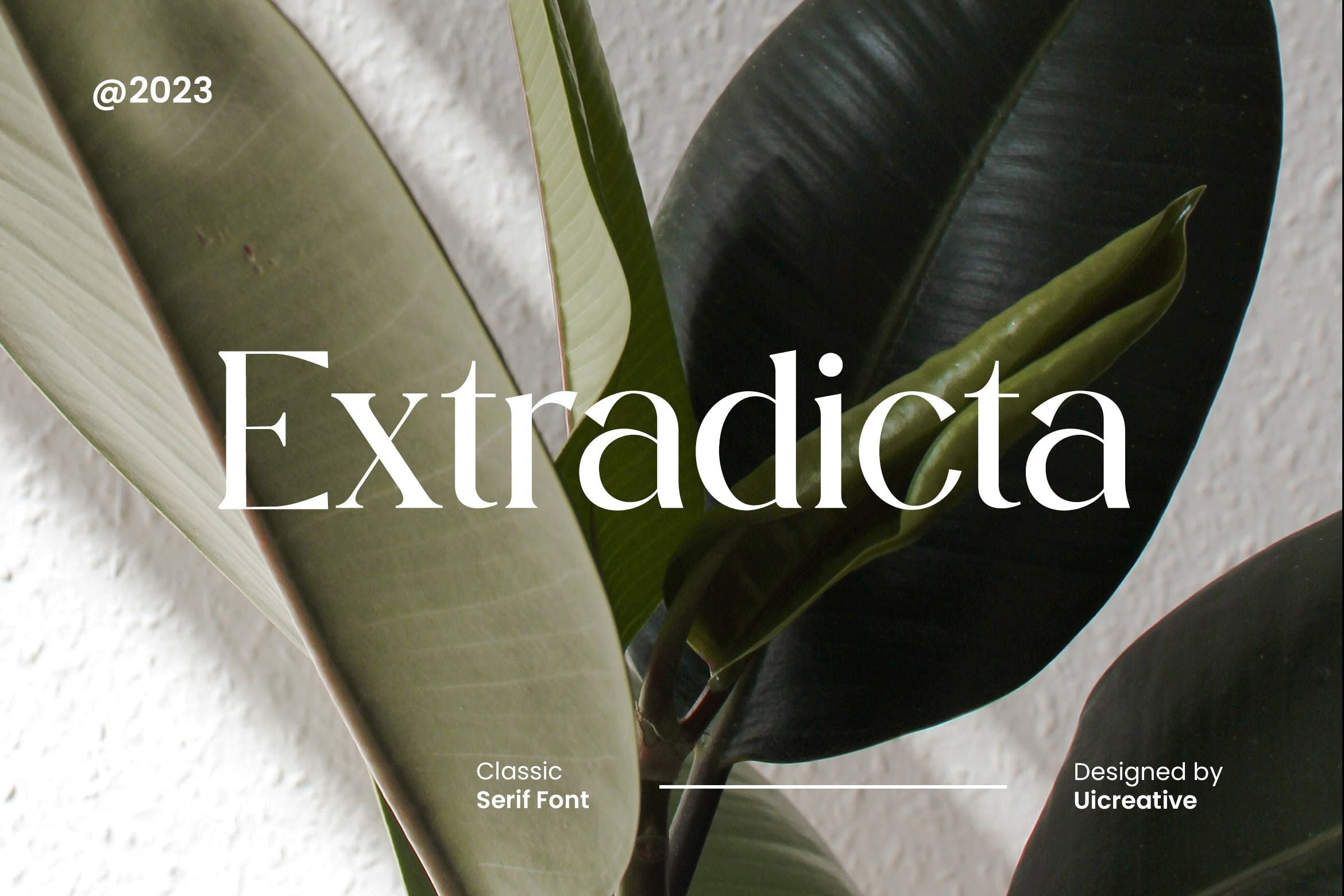 Extradicta Font preview