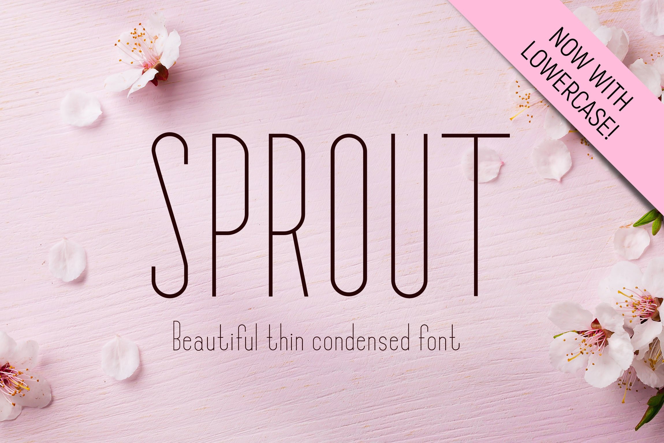 Sprout Font preview