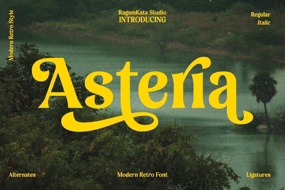 Asteria Regular Font preview