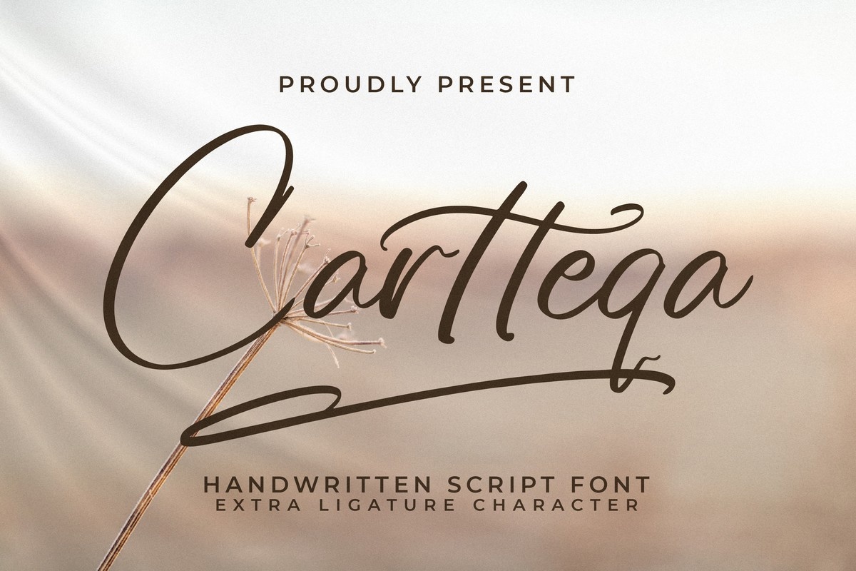 Cartteqa Font preview
