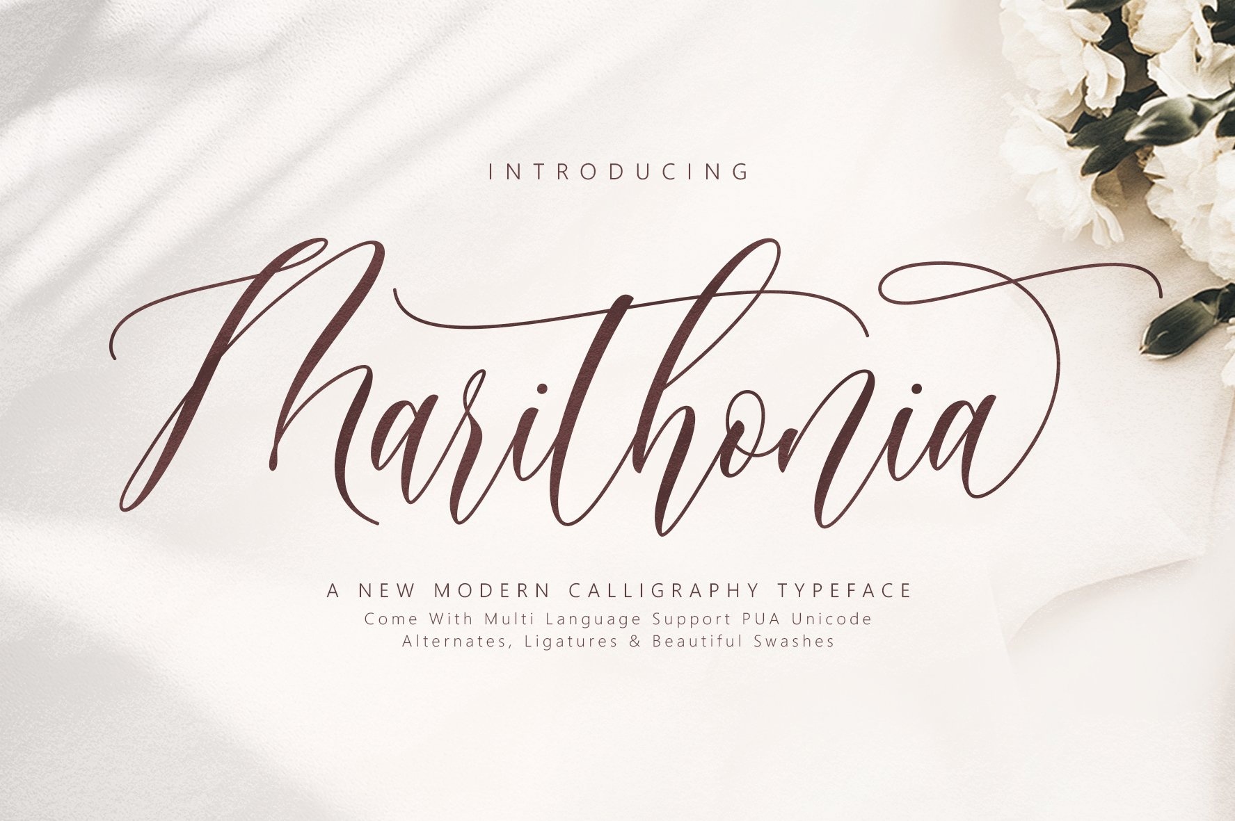Marithonia Script Regular Font preview