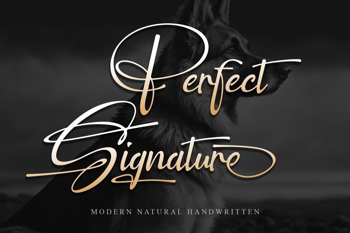 Perfect Signature Font preview