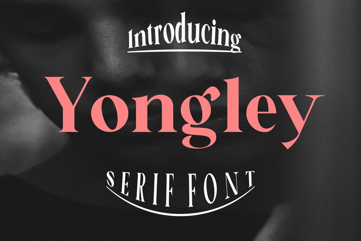 Yongley Regular Font preview