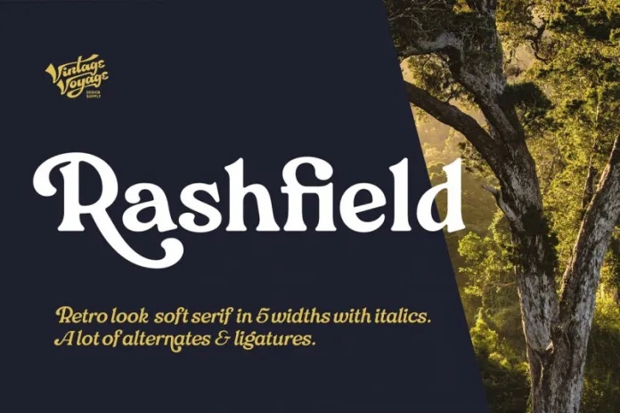 Rashfield SemiBoldItalic Font preview