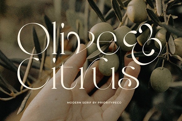 Olive & Citrus Regular Font preview