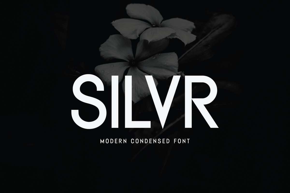 Silvr Font preview
