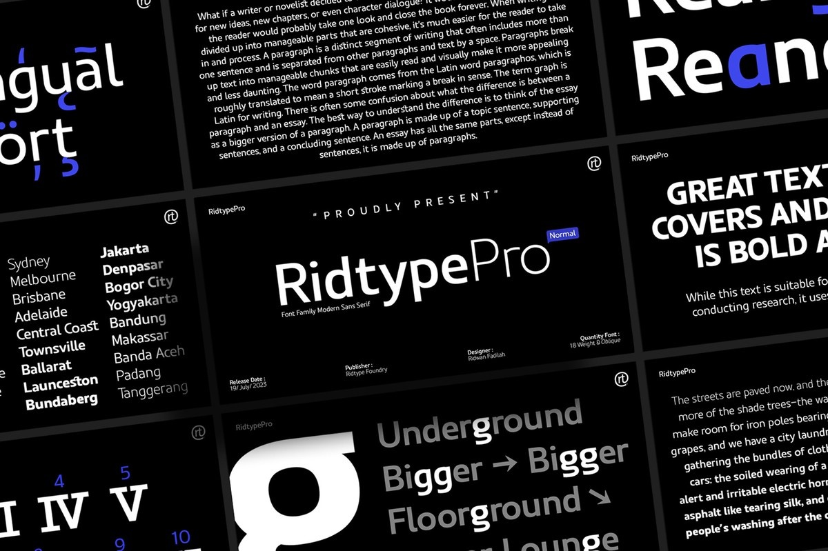 Ridtype Pro NormalOblique Font preview