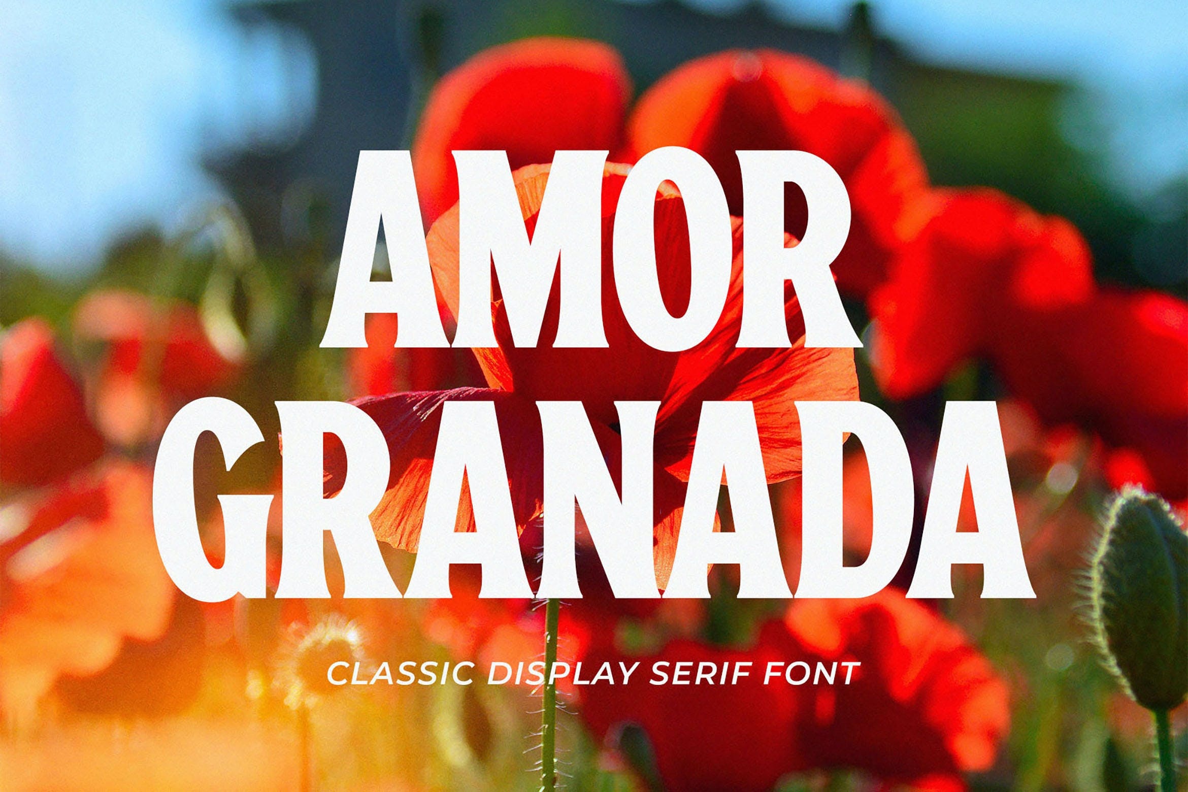 Amor Granada Regular Font preview