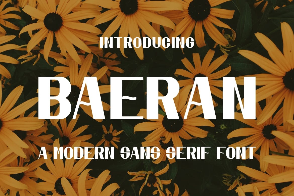 Baeran Font preview