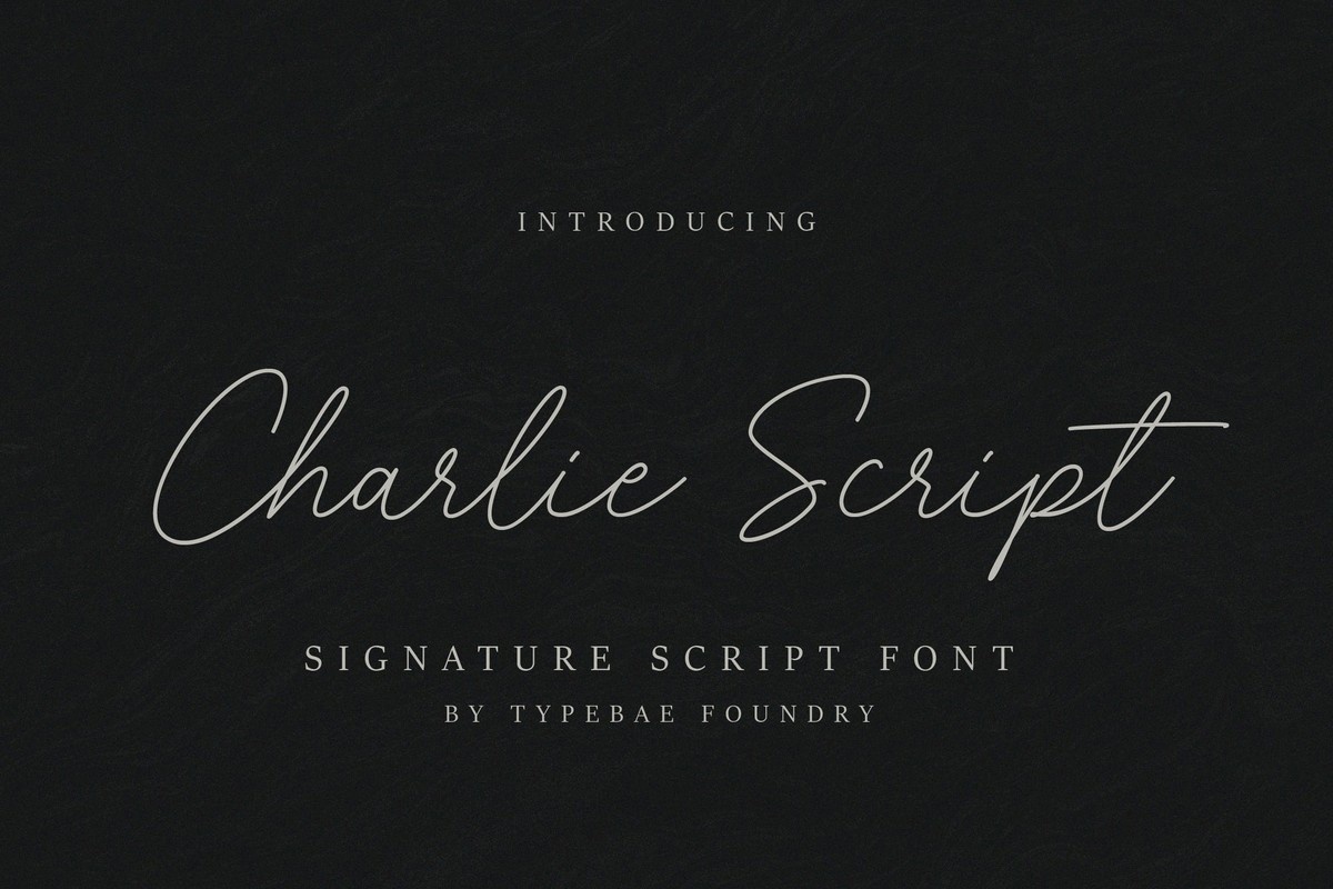 Charlie Script Font preview
