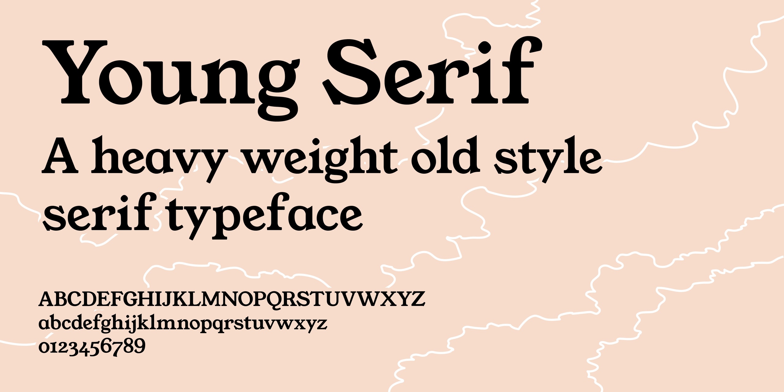 Young Serif Regular Font preview