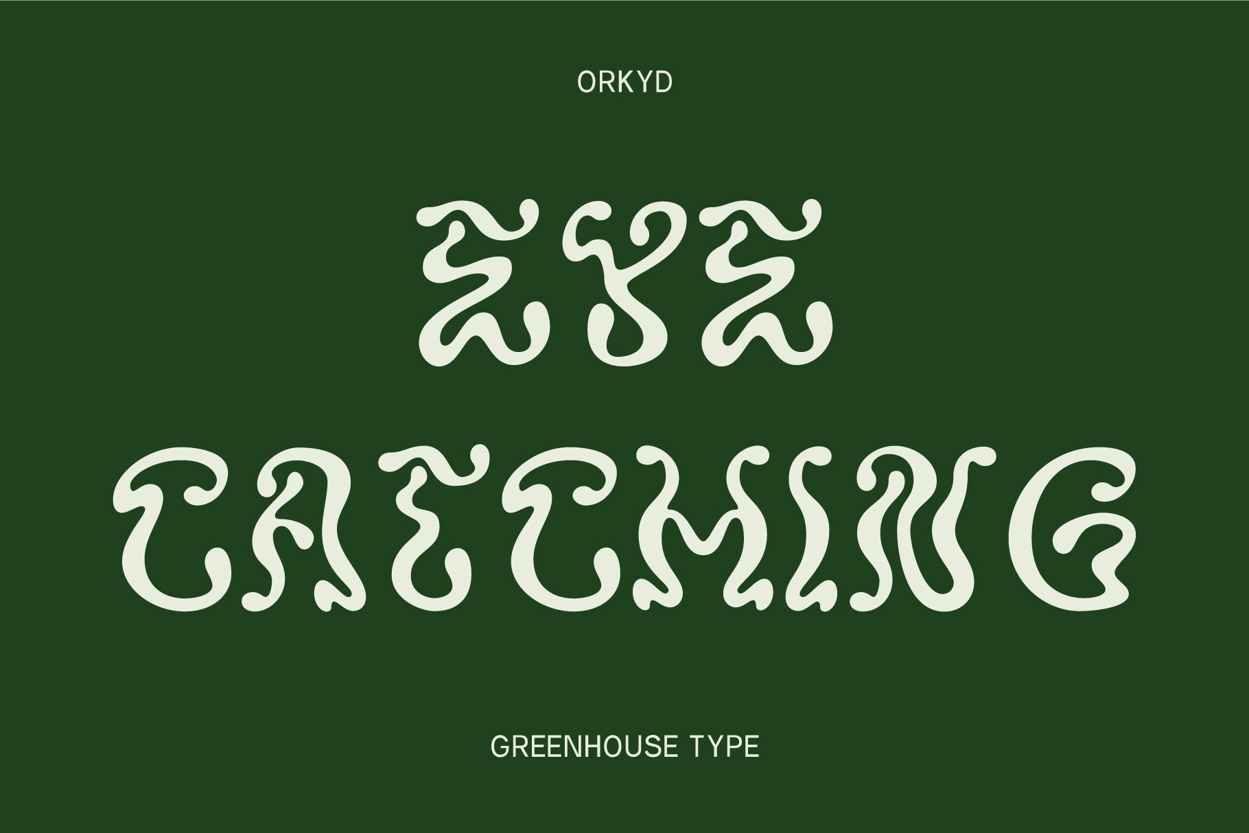 ORKYD Display Regular Font preview