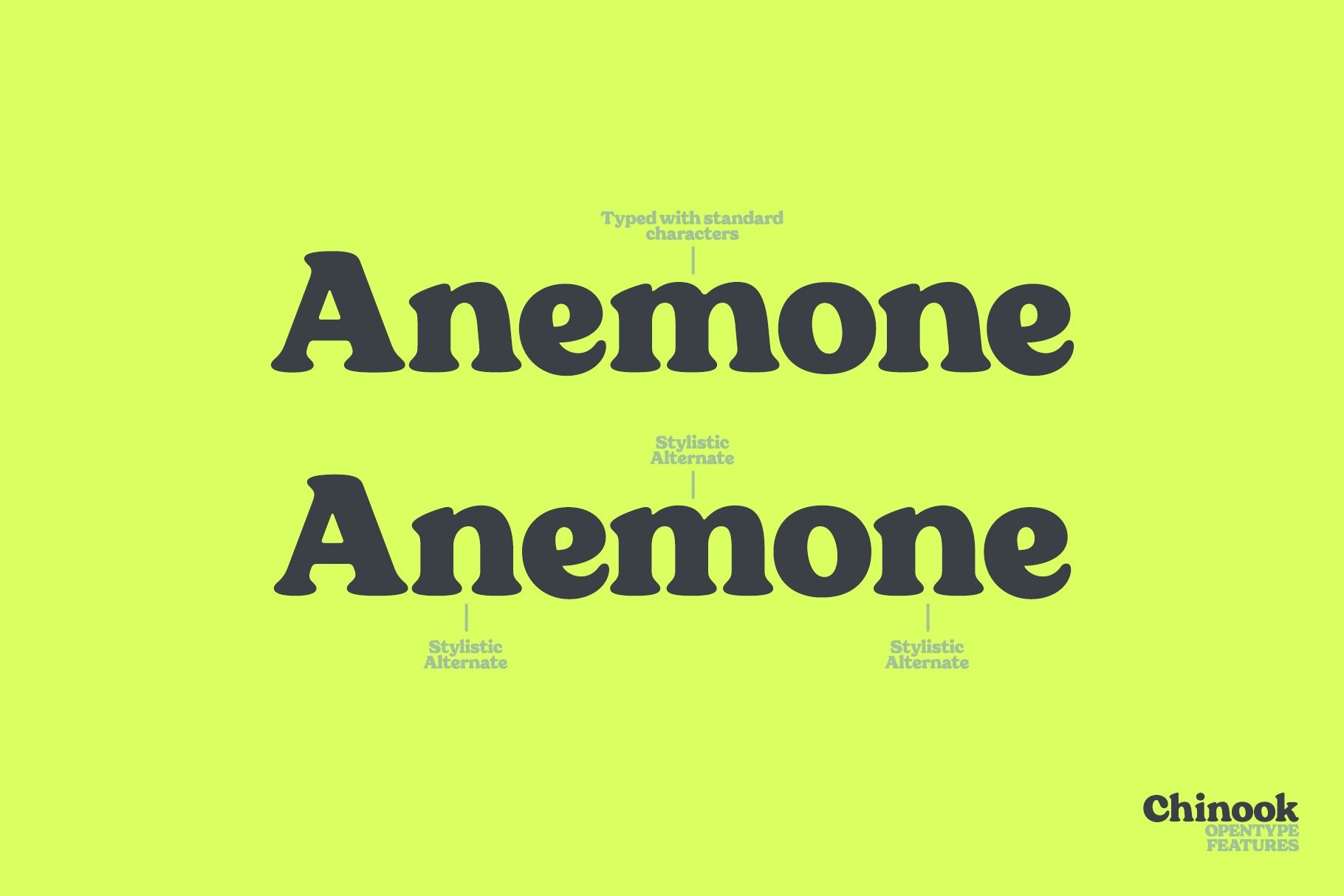 Chinook Display Italic Font preview