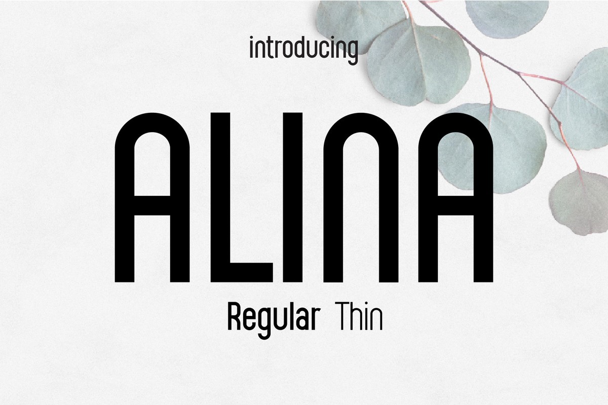 Alina Thin Font preview