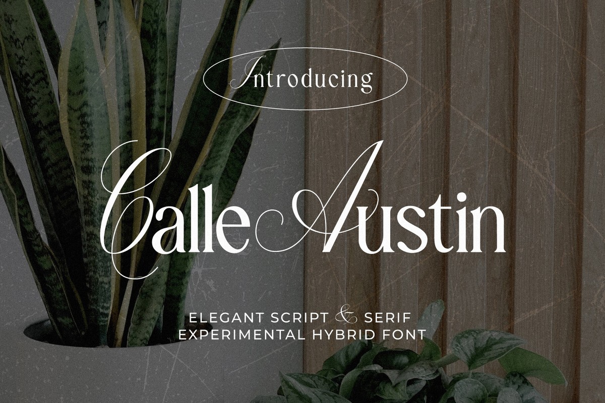 Calle Austin Regular Font preview