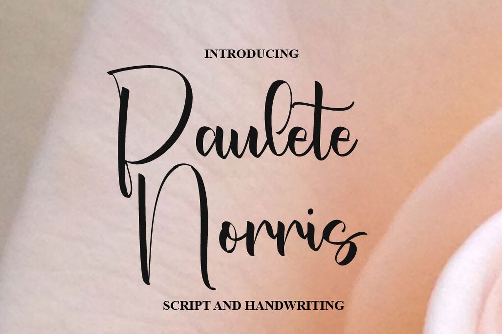 Paulete Norris Regular Font preview