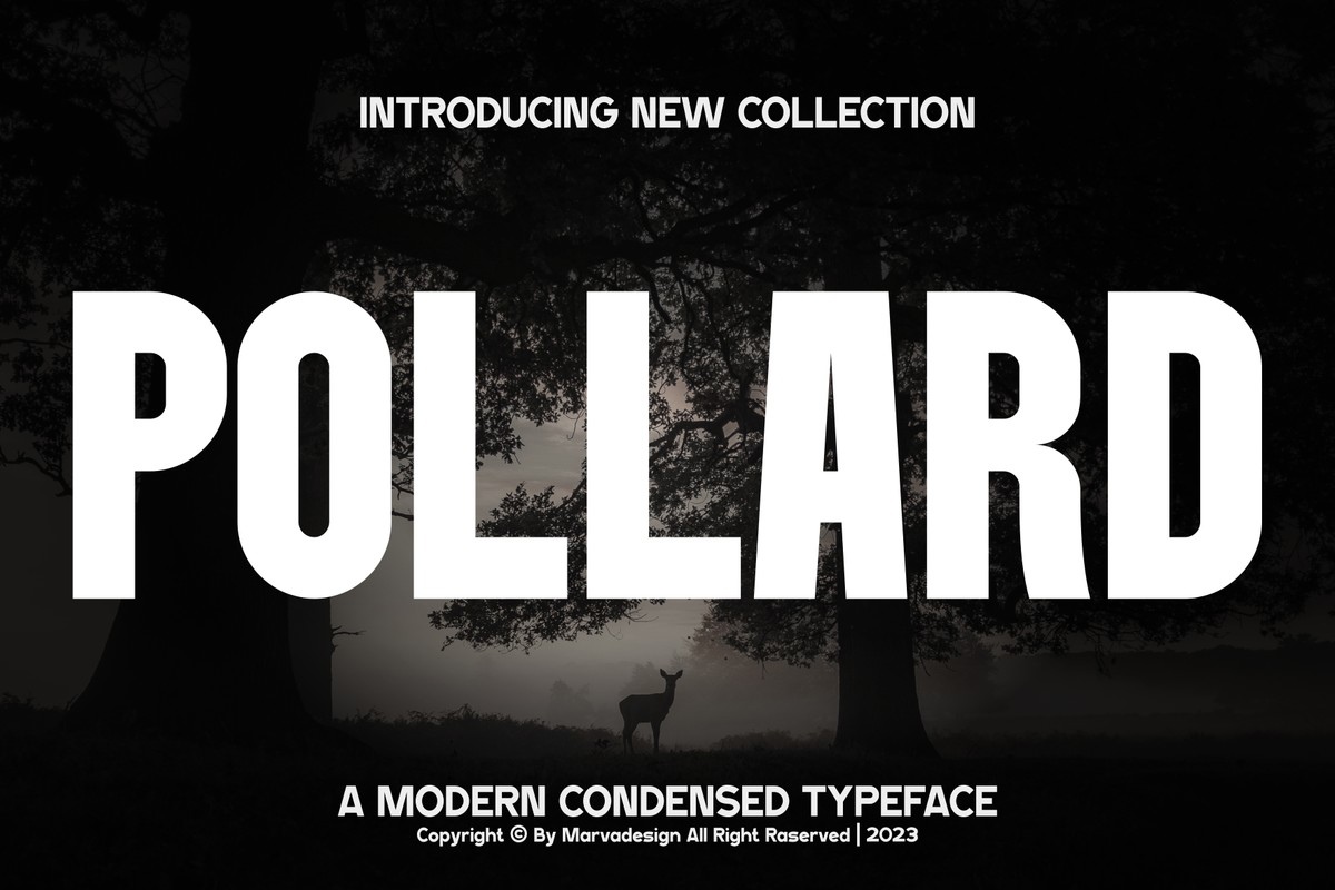 Pollard Font preview