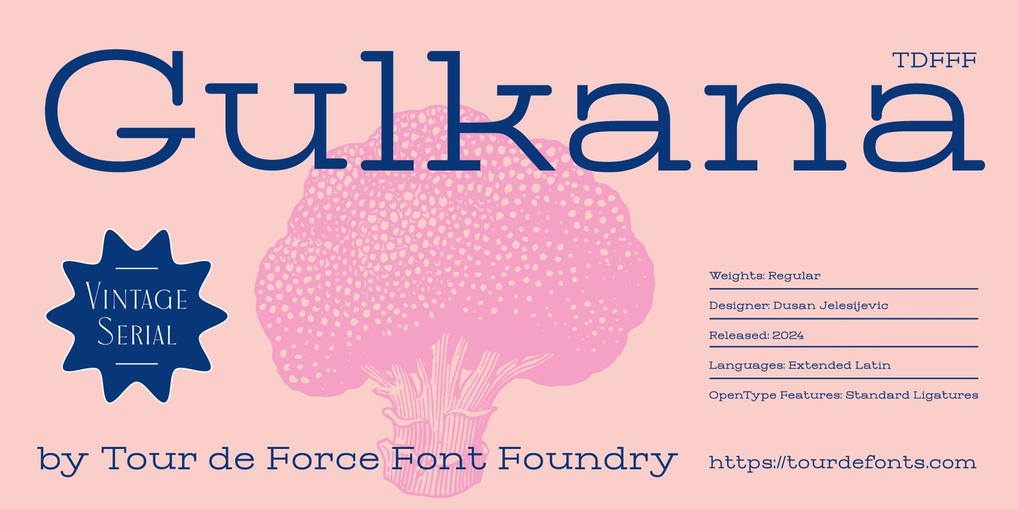 Gulkana Regular Font preview