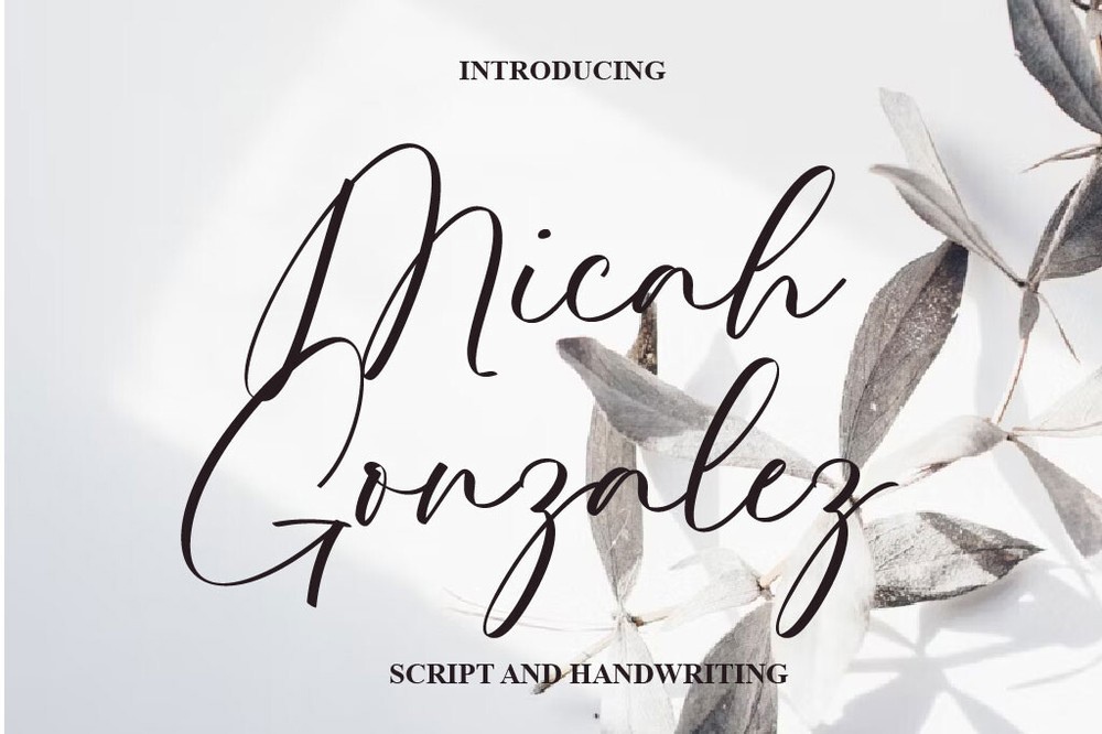 Micah Gonzalez Regular Font preview