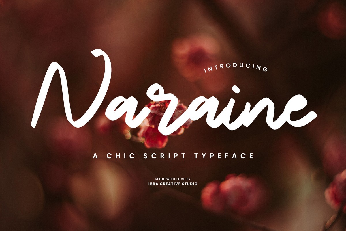 Naraine Regular Font preview