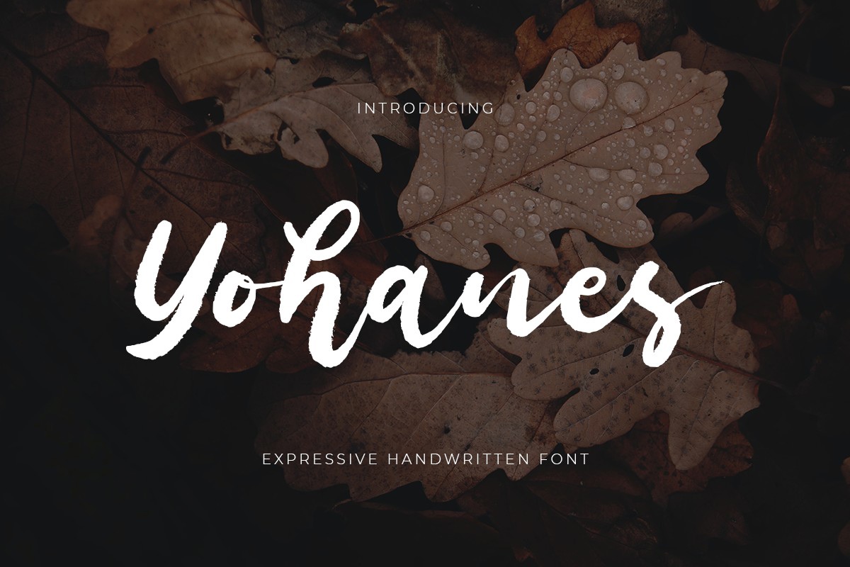 Yohanes Font preview