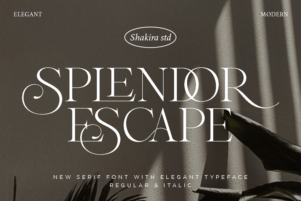 Splendor Escape Regular Font preview